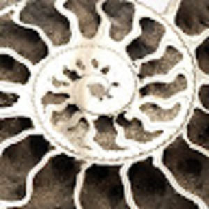 Meet your Posher, Ac